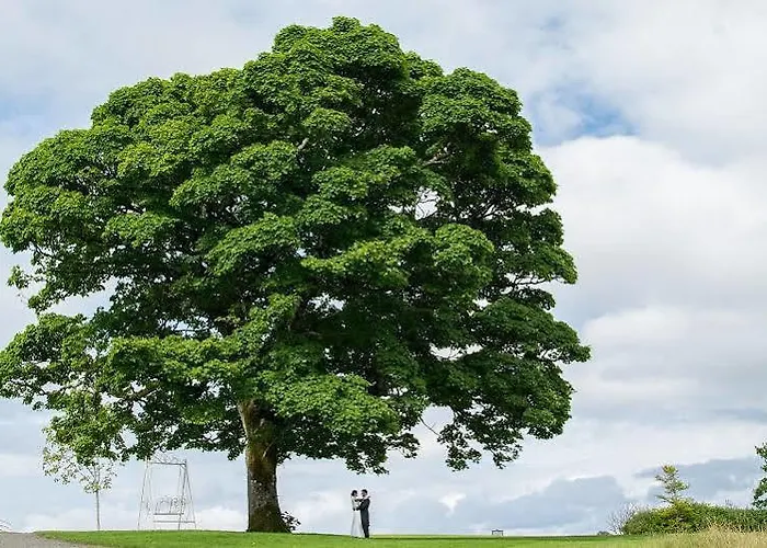 Castle Dargan Отель Слайго